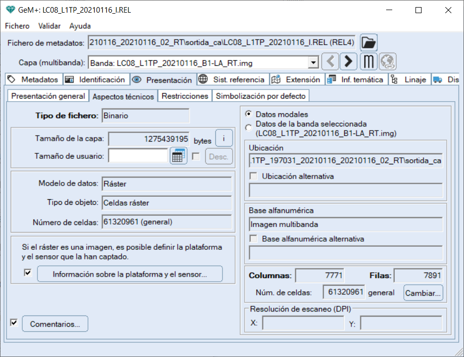 Pesta�a de aspectos t�cnicos de un REL de una capa raster