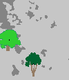Inventari Ecolgic i Forestal de Catalunya