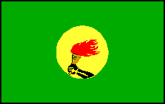 [Democratic Republic of Congo Flag]