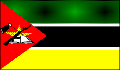 [Mozambique Flag]
